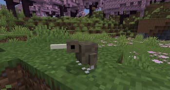 Jagm's Kiwis screenshot