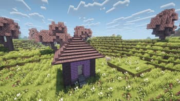 Macaw's Mystic's Biomes screenshot