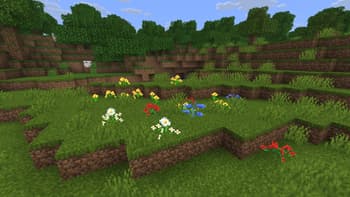 Flower Variants screenshot