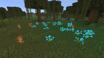 Flower Variants screenshot
