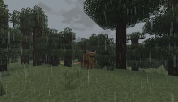 Aesthetic Visuals screenshot