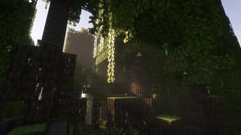 Round Trees screenshot