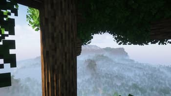Round Trees screenshot