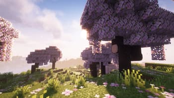 Round Trees screenshot