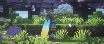 Elytra Trims screenshot