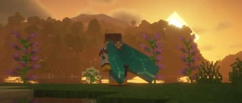 Elytra Trims screenshot