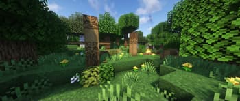 Thicket screenshot