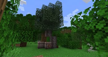 Thicket screenshot