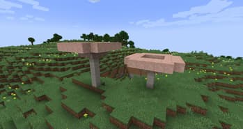 Thicket screenshot