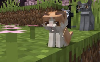 Refined Cats screenshot