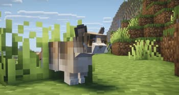 Refined Cats screenshot