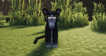 Refined Cats screenshot