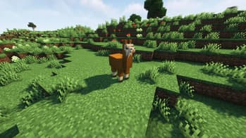 BVA - Better Vanilla Animals screenshot