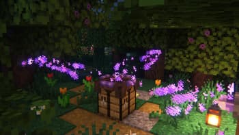 Affinity screenshot