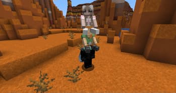 Player Ladder screenshot