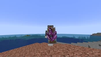 Amethyst Shield screenshot