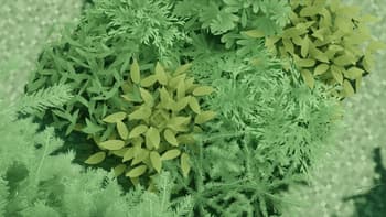 Fantastik Leaves screenshot