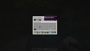 Waystone Warps screenshot