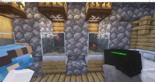 DragN’s Bettas & Aquatics! screenshot