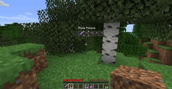 Wild Tool Access screenshot