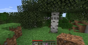 Wild Tool Access screenshot