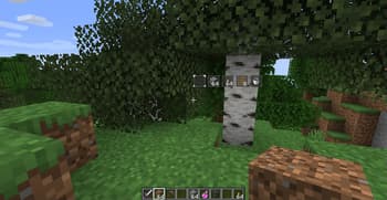 Wild Tool Access screenshot
