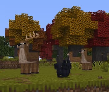 Chocco's Cozy Campers screenshot