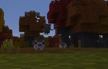 Chocco's Cozy Campers screenshot
