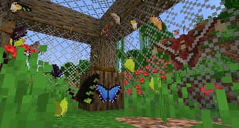 Longwings screenshot