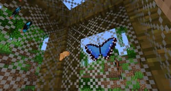 Longwings screenshot