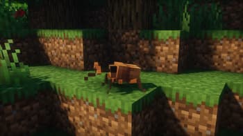 Critters and Companions screenshot