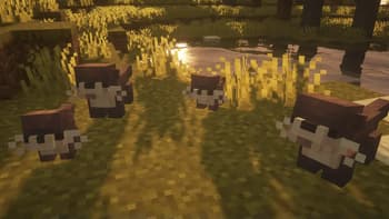 Critters and Companions screenshot