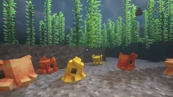 Critters and Companions screenshot