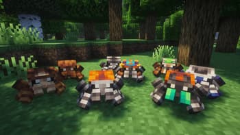 Critters and Companions screenshot