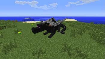 Dragon Mounts screenshot