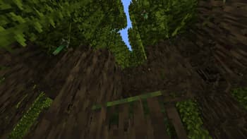 Bushy Vegetation screenshot