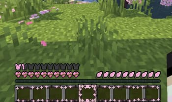 PickMe hud screenshot