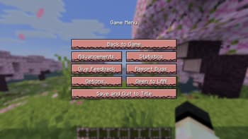PickMe hud screenshot