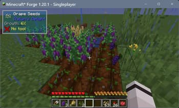 Italian Delight Remade screenshot