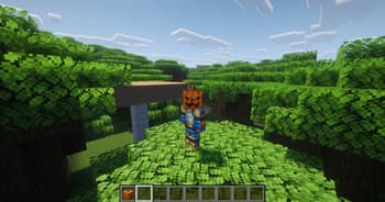 Pumpkins Reforged screenshot