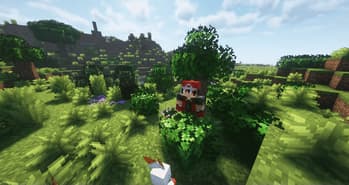 RCT Trainer Animation screenshot