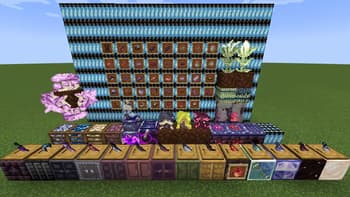 Eternal Starlight's Delight screenshot