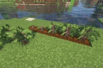 Peruvian's Delight screenshot