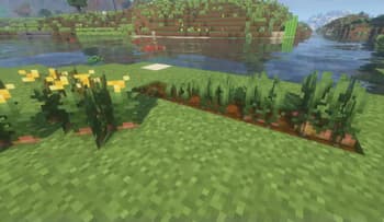 Peruvian's Delight screenshot
