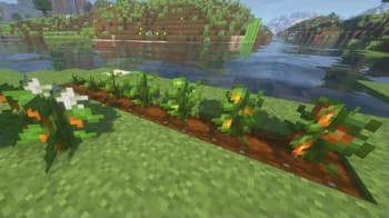 Peruvian's Delight screenshot