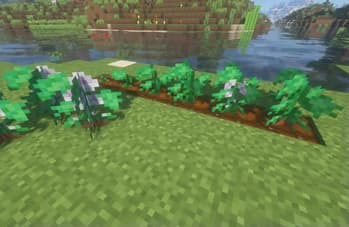Peruvian's Delight screenshot