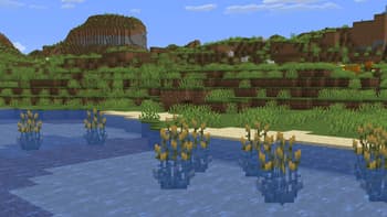 Water Firefly Bush screenshot