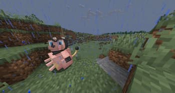 Senexemon screenshot