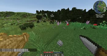 TerraFirmaCraft Odyssey: TFC+ screenshot