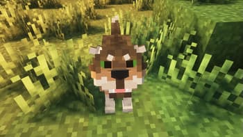 Wild Wolves screenshot
